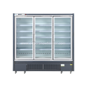 Vertical freezer frozen food freezer upright